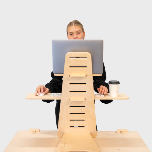 Standing Desk Converter
