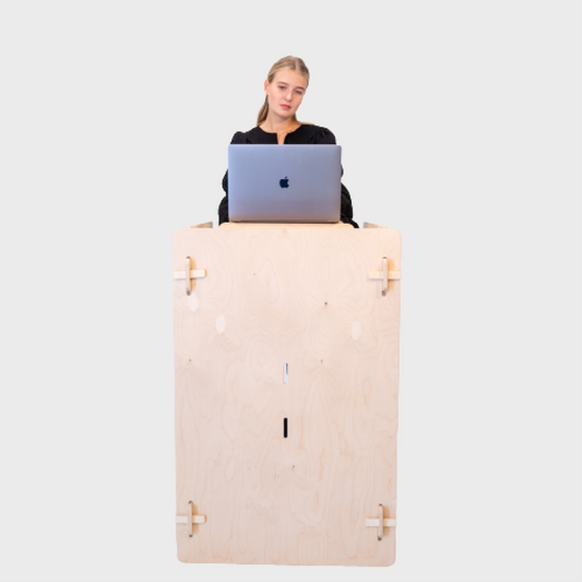 Sit and Standing Desk